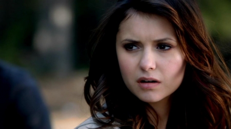 TVD_012.JPG