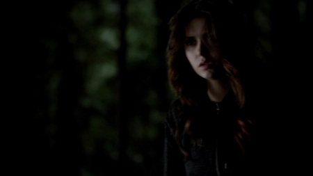 TVD_387.JPG