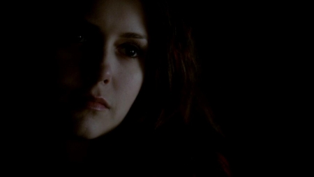 TVD_460.JPG