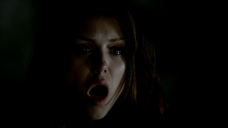 TVD_463.JPG