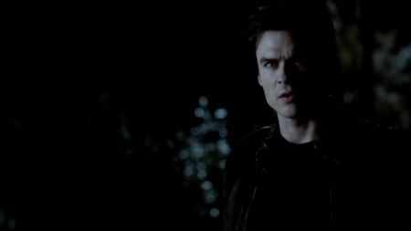TVD_473.JPG