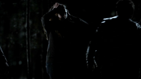 TVD_513.JPG