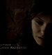TVD_060.JPG