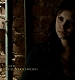 TVD_076.JPG