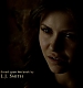 TVD_084.JPG