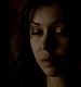 TVD_097.JPG