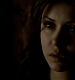 TVD_098.JPG