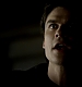 TVD_166.JPG