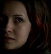TVD_250.JPG