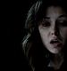 TVD_430.JPG