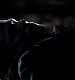 TVD_433.JPG