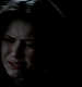 TVD_522.JPG