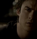 TVD_681.JPG