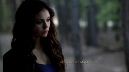 TVD_070.JPG