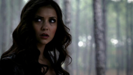 TVD_076.JPG