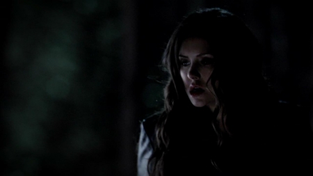 TVD_122.JPG