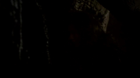 TVD_311.JPG