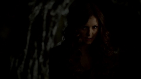 TVD_315.JPG