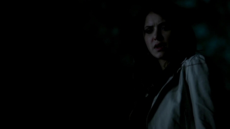 TVD_397.JPG