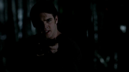 TVD_480.JPG