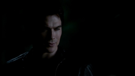 TVD_530.JPG