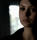 TVD_020.JPG