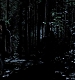 TVD_120.JPG