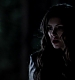 TVD_122.JPG