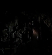 TVD_126.JPG