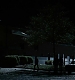 TVD_199.JPG