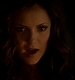 TVD_300.JPG