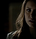 TVD_364.JPG