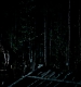 TVD_399.JPG
