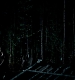 TVD_400.JPG