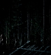 TVD_401.JPG