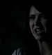 TVD_433.JPG