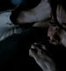 TVD_500.JPG