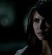 TVD_531.JPG