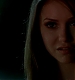 TVD_470.JPG