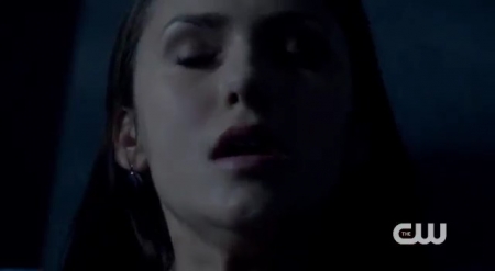 The_Vampire_Diaries_-_Nina_Dobrev_Interview-0139.jpg