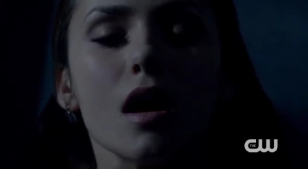 The_Vampire_Diaries_-_Nina_Dobrev_Interview-0149.jpg