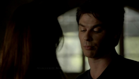 TVD_100.JPG
