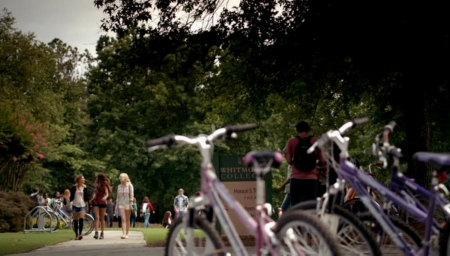 TVD_205.JPG