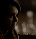 TVD_071.JPG