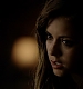 TVD_270.JPG