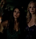 TVD_329.JPG