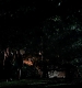 TVD_355.JPG