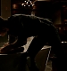 TVD_384.JPG