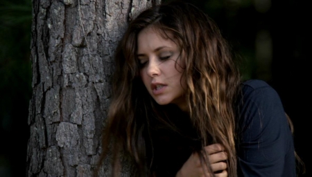 TVD_004.JPG