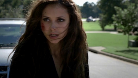 TVD_024.JPG